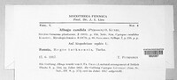 Image Associated With the Occurence